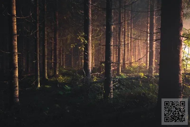 匯鎂精密有限公司