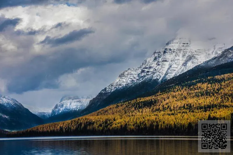 S2O For Good Limited