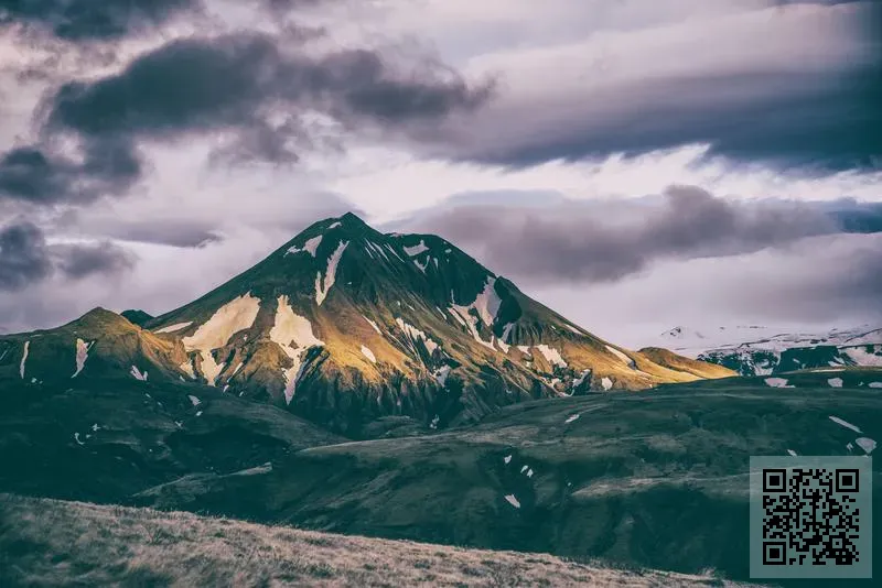 德芳國際有限公司