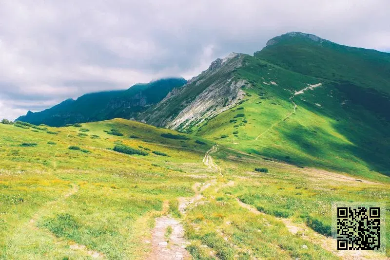 PREMIX INVE EXPORT (ASIA) COMPANY LIMITED