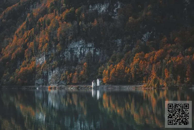 飛亞合玩具有限公司