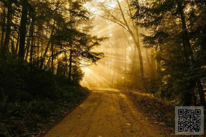 南京福優工貿有限公司