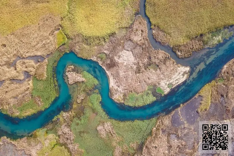 天世國際有限公司