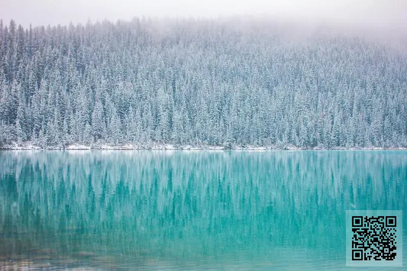 香港泓盛國際有限公司