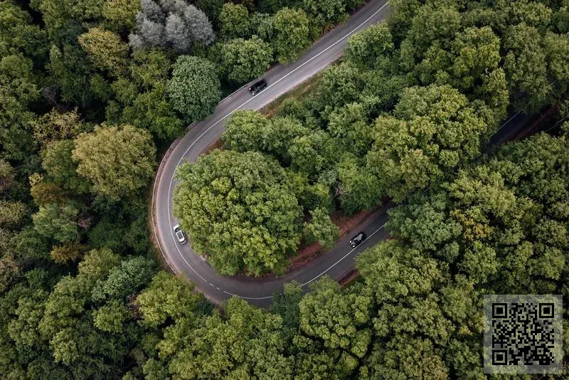 聯贏商社(香港)有限公司