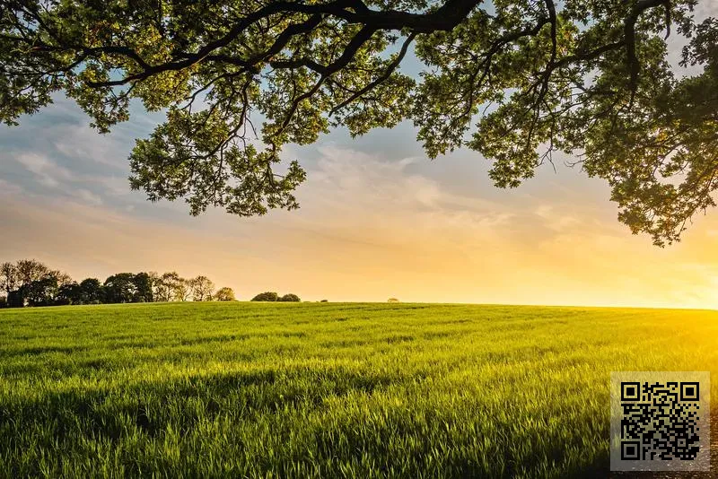 美國福特野馬(中國)有限公司