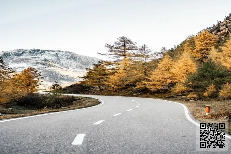 弗蘭德(香港)有限公司