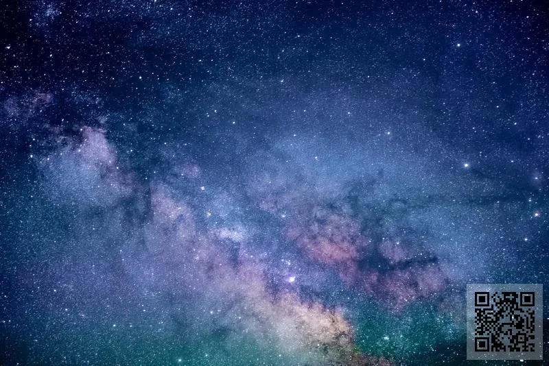 香港榮彬科技有限公司