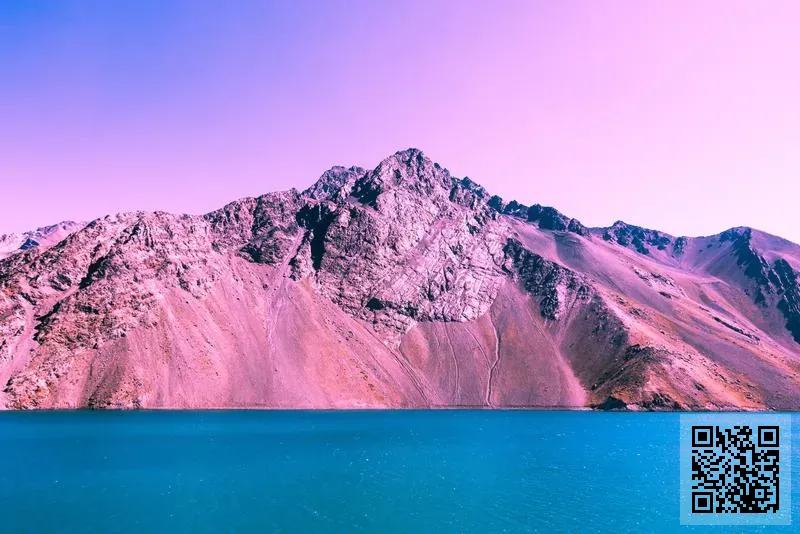 香港盛美有限公司