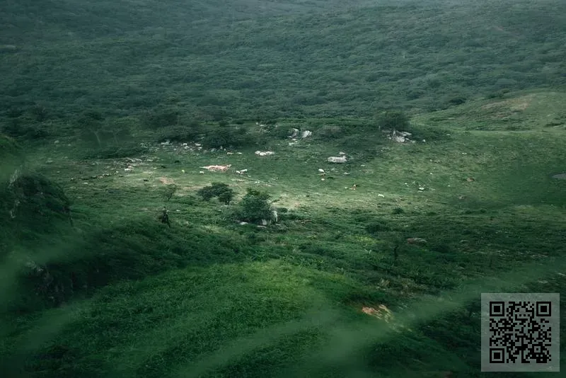 香港黛詩雅集團有限公司