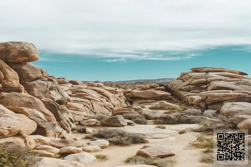 Soul Network Limited