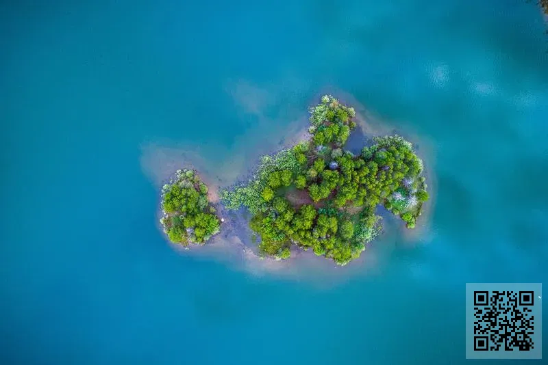 泛美聯合控股(集團)有限公司