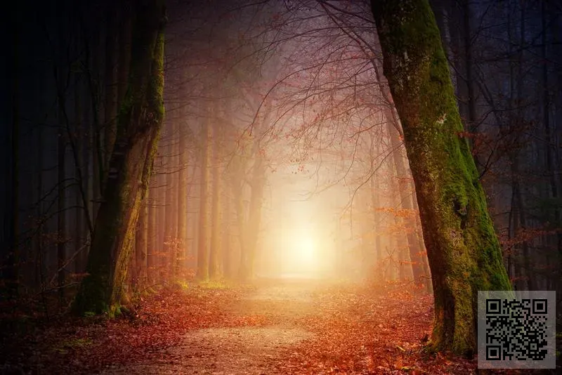 駿智集團有限公司