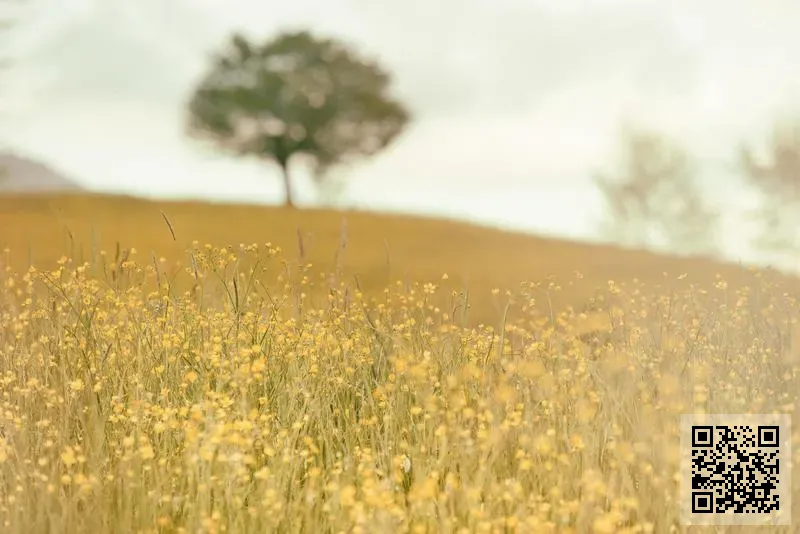 Fortune Tankers Company Limited