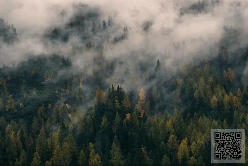 Elite Manufacture Limited