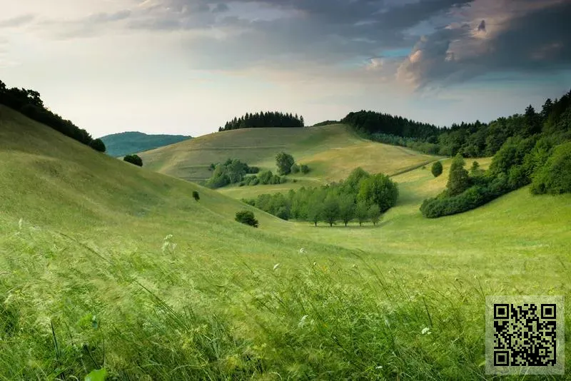 富德顧問服務有限公司