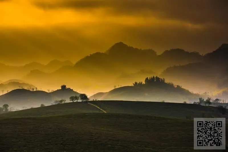 聚予嫣創意有限公司