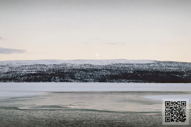 萬勝凱國際物流有限公司