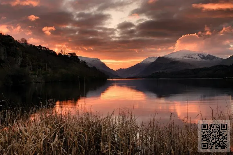 C2L BIZ SOLUTIONS (HK) PVT LIMITED