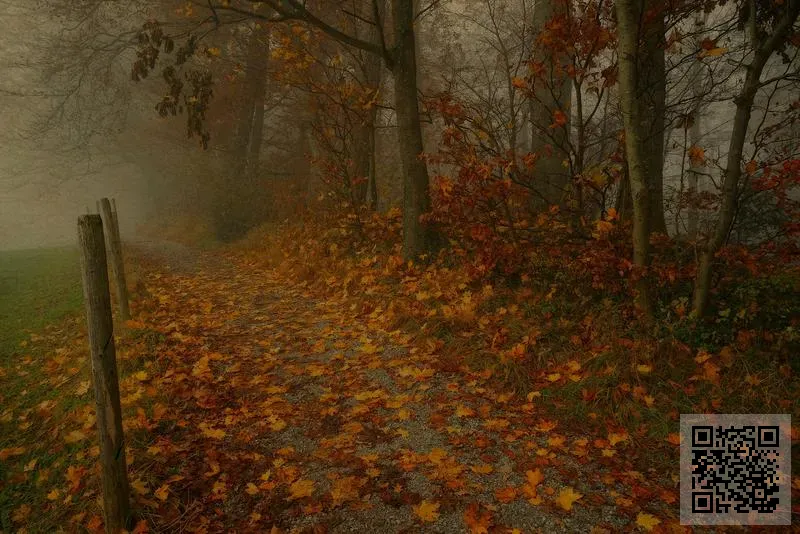 佳達集團貿易有限公司