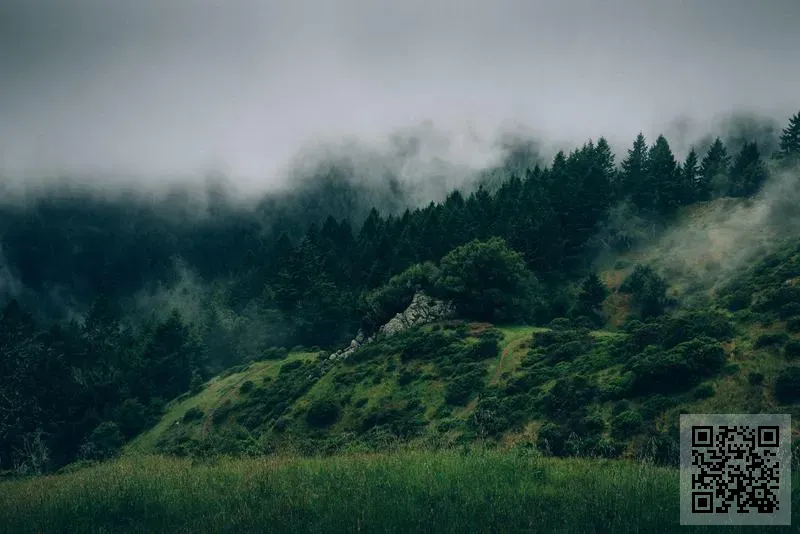 APAC ADVISORY GROUP LIMITED