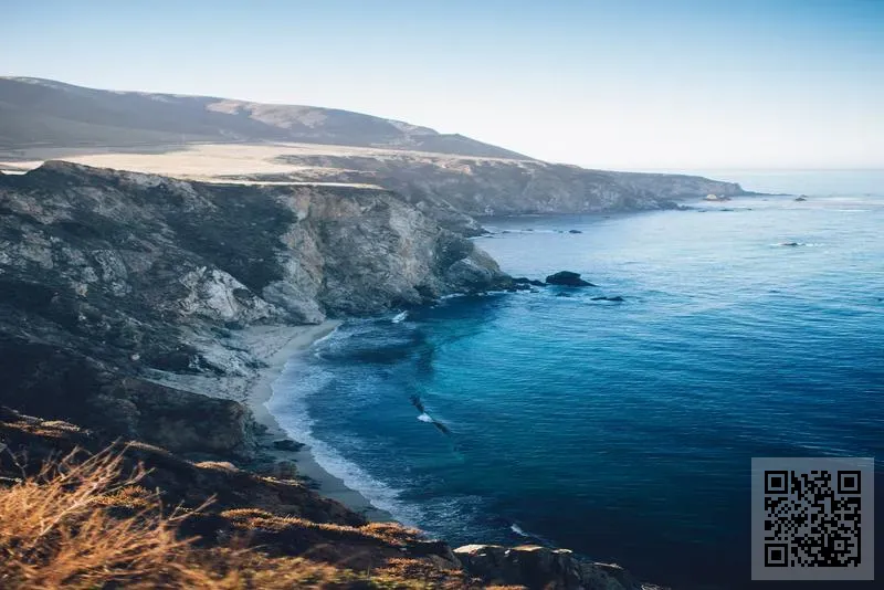 萊特技術有限公司