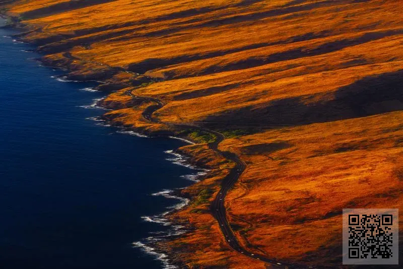 香港石油天然氣集團有限公司
