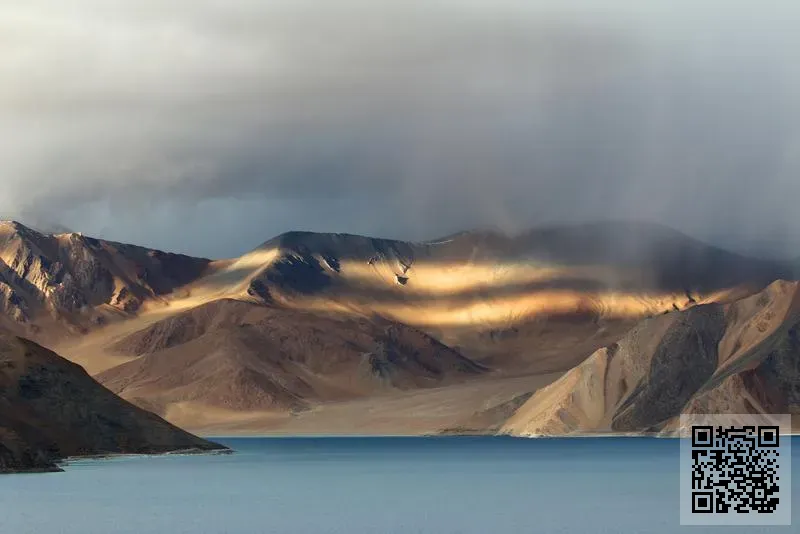 錦電實業有限公司