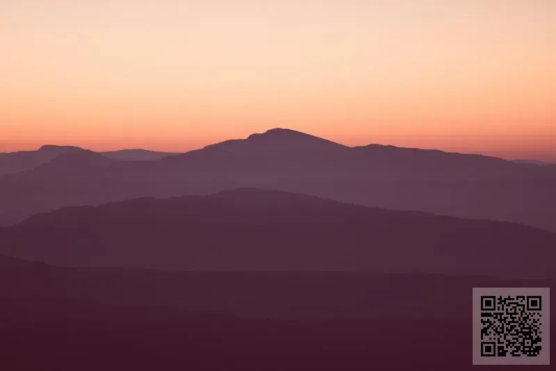 香港普羅咨詢有限公司