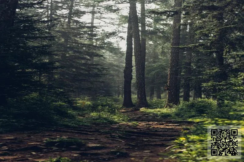 重慶華南城(香港)有限公司