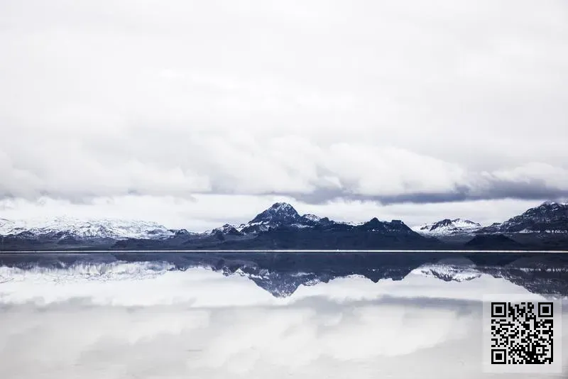 雲廣貿易有限公司