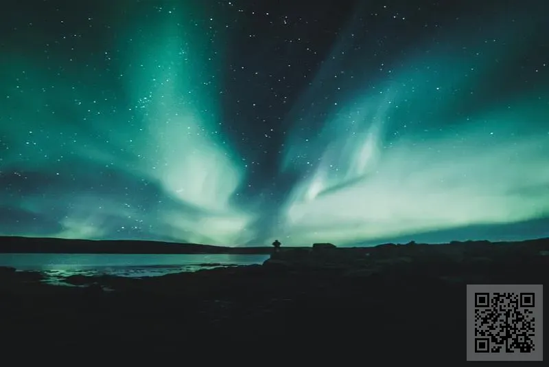 銀鶴資本有限公司