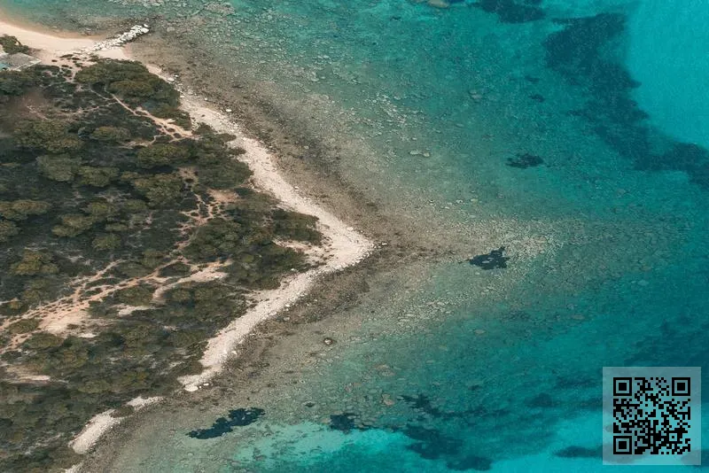 香港天馬智能科技有限公司
