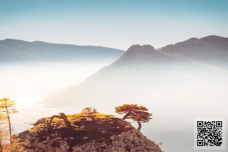 廣州櫻花廚衛電器有限公司