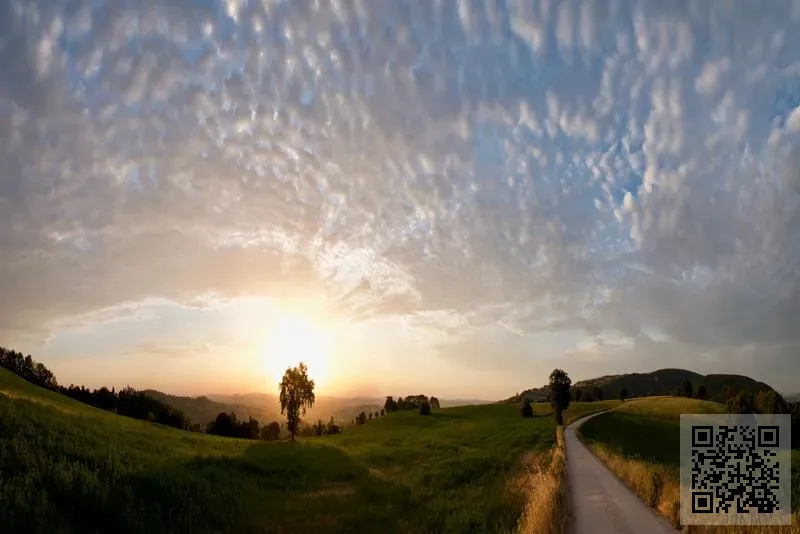 Gunkang Concept (HK) Limited