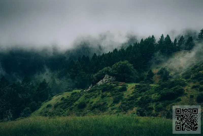 樂在傳播有限公司
