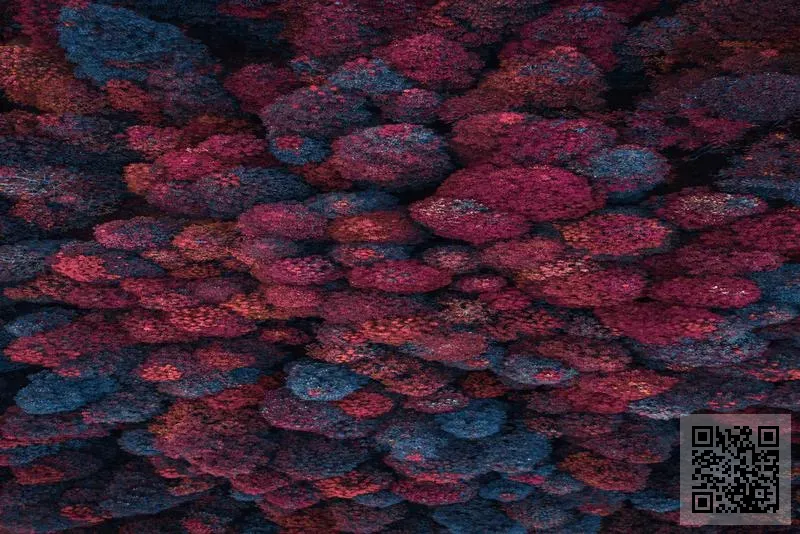 E&W Trading Consulting Limited