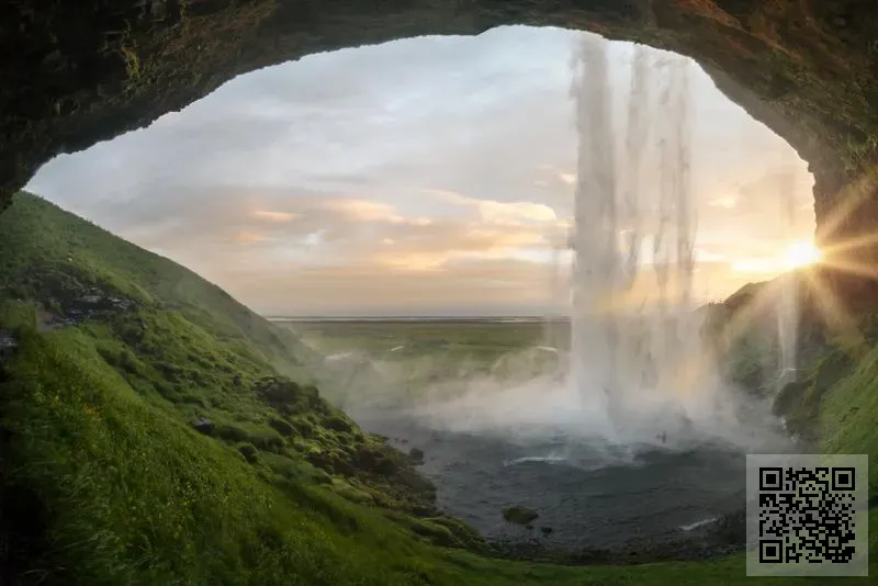香港達利園乳業股份有限公司