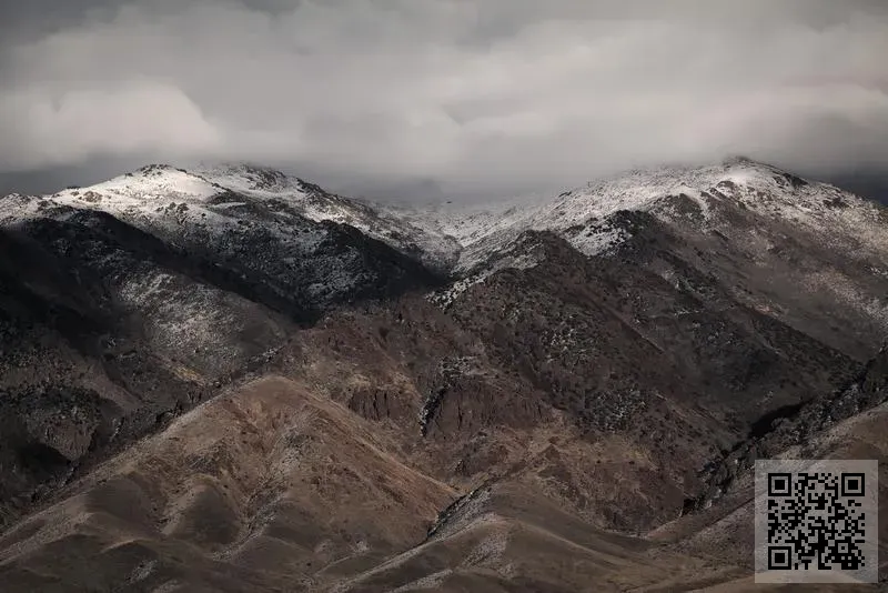 耀平貿易香港有限公司