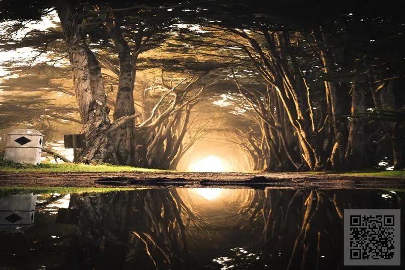 Extron Electronics (Hong Kong) Limited