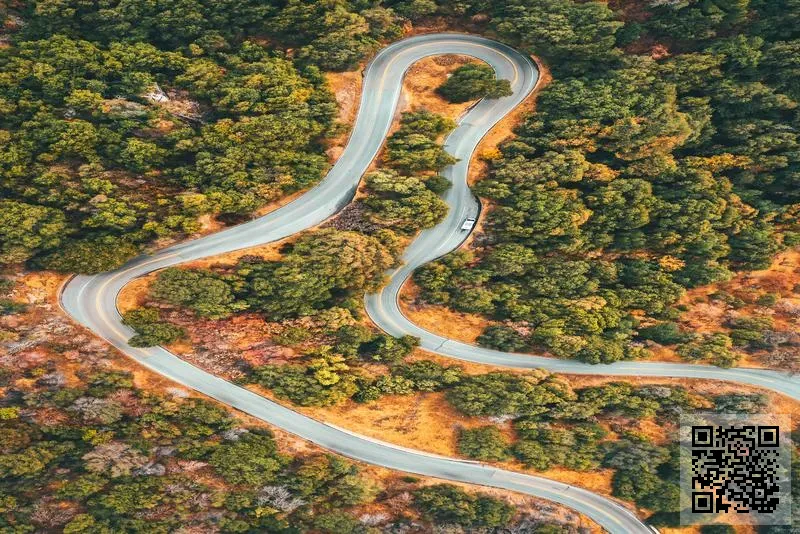 富泓顧問有限公司