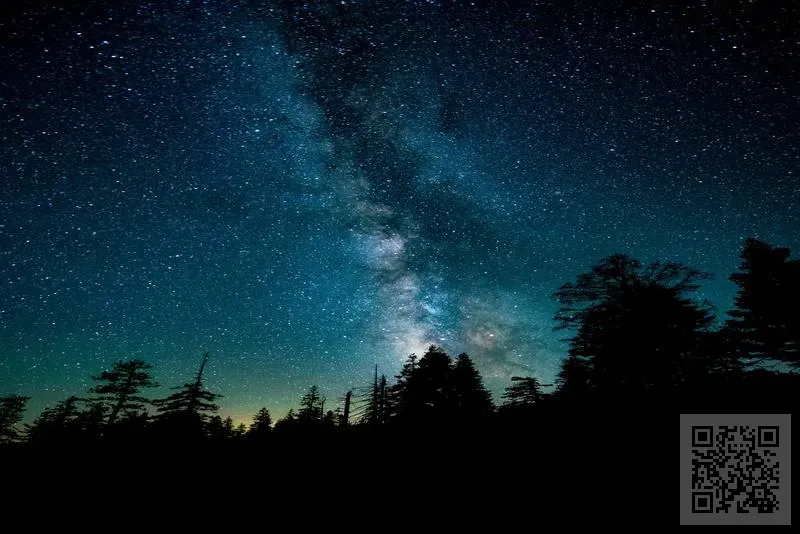 Asen Maneuvre Tech Limited