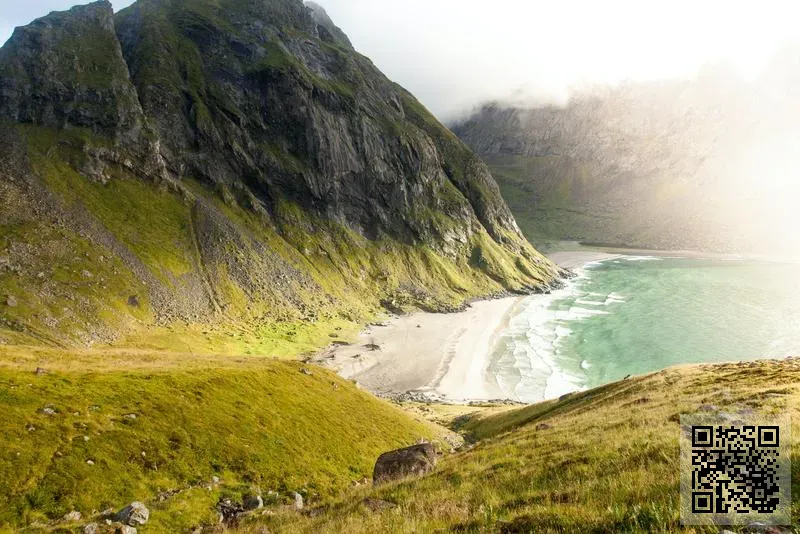 翠林國際創建有限公司