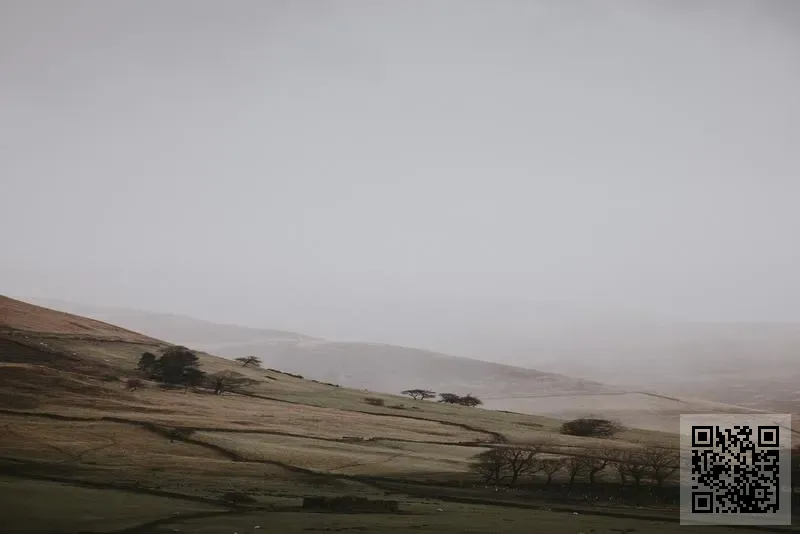 利天科技有限公司