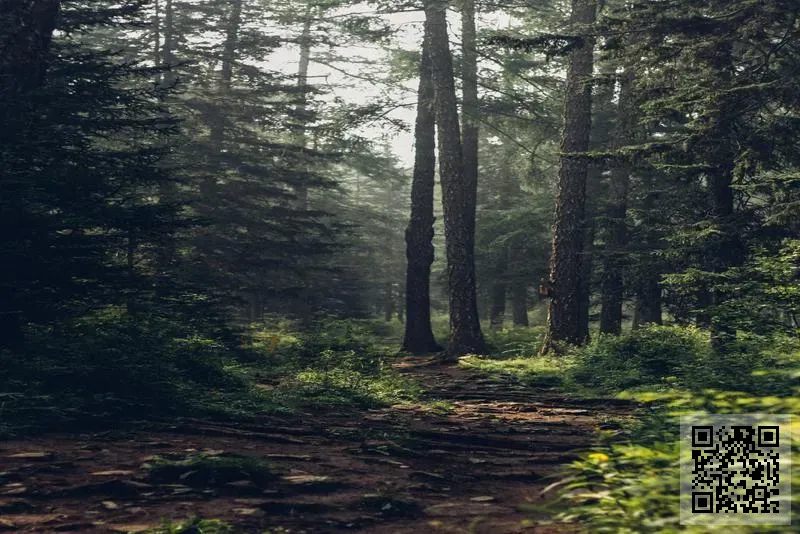 溢途工程有限公司