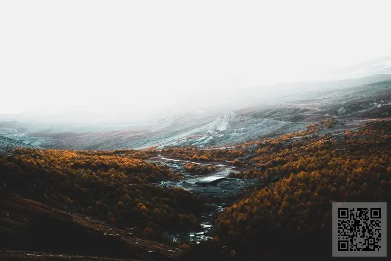 瑞士婭迪國際集團有限公司