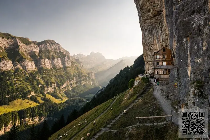 CHINA HYDROPONICS COMPANY LIMITED