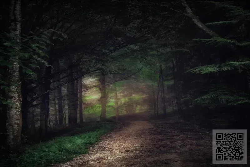 精爾美陶瓷實業(香港)有限公司