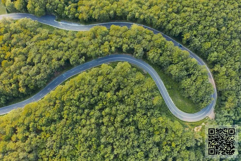 CapitaRetail China Developments D12 (HK) Limited