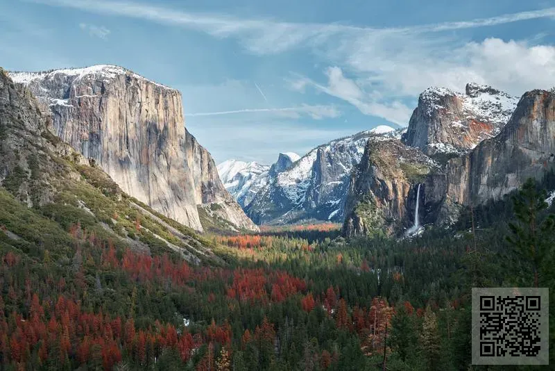 輝達製衣有限公司